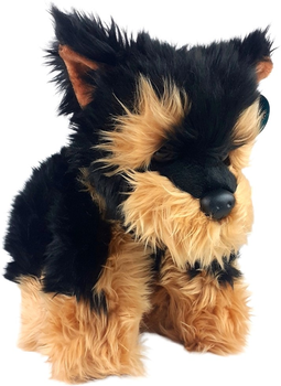 Maskotka Dubi Morkie 30 cm (4548678010915)