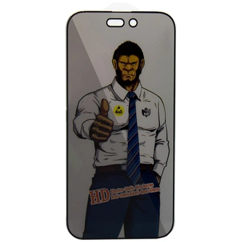 Защитное стекло на Apple iPhone 13 Pro Max, iPhone 14 Plus для айфон 13 про макс для айфон 14 плюс анти шпион