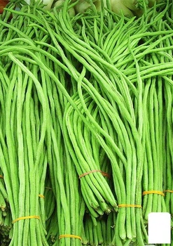Вигна "Китайська" (у банку) Agro-Market 10г (46691)