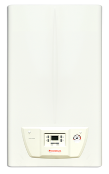 Газовый котел Immergas Nike Star 24 4E