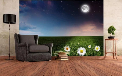3D Фото Шпалери PHOTODECOR "Ромашки при місяці"