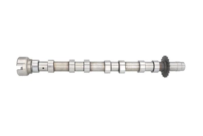 Распредвал AE CAM975 Citroen C5, C8, C6; Mitsubishi Outlander; Peugeot 508, 407 0801FZ, 0801EX, 0801E0
