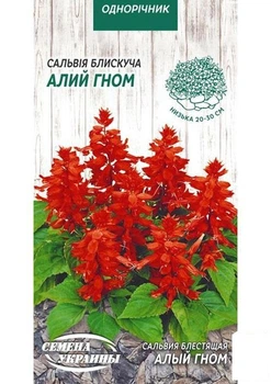 Сальвия блестящая "Алый гном" ТМ "Семена Украины" 0.2г (25173)