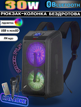 Акустическая система с караоке микрофоном MHZ NDR-Q69А-30W-6,5"x2 дюймов Bluetooth колонка с RGB подсветкой + Пульт
