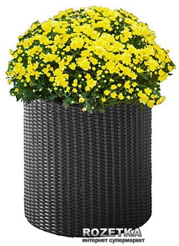 Горщик для кольорів Keter Cylinder Planter M Сірий (7290103668211)