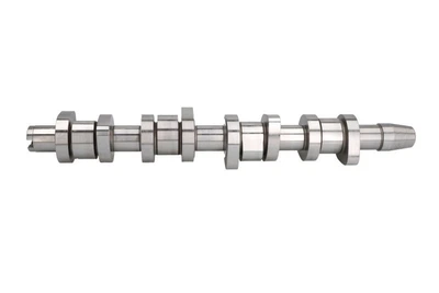 Розподільний вал KOLBENSCHMIDT 50006342 Volkswagen Golf, Polo, Jetta, Passat, Caddy, Touran, Multivan, Transporter; Skoda Octavia, Superb; Audi A4, A3; Seat Ibiza, Toledo, Cordoba 038109101AH