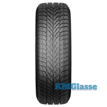 Шина Paxaro INVERNO 225/45 R18 95V XL