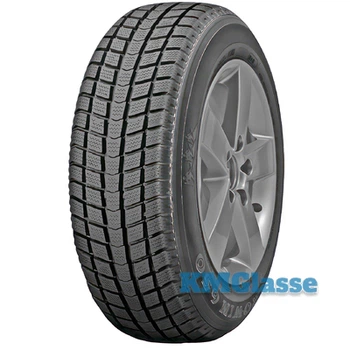 Шина Roadstone Euro-Win 650 225/65 R16C 112/110R