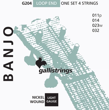 Струни для банджо Gallistrings G204 (.010-.032), Steel