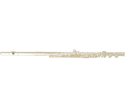 Флейта SML Paris VSM FL300E
