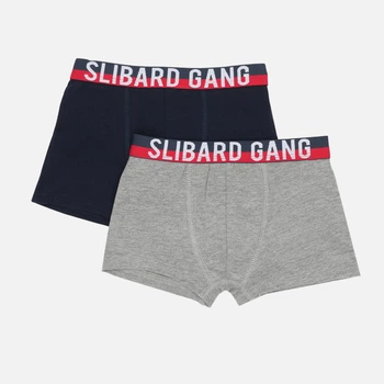 Набор детских трусов-боксеров 2 шт для мальчика Slibard Gang 83890490 110-116 см Marine/Bleu Vert (3349600281066)