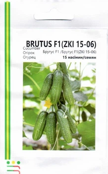Семена Огурец Брутус F1 (ZKI 15-06)10сем.Innova Seeds