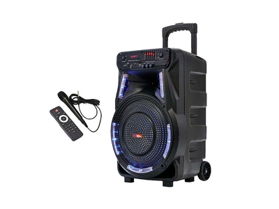 Колонка-чемодан Sky Sound SS 7171 USB/FM/Bluetooth