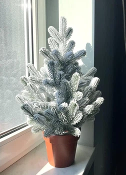 Литая елка 50 см в горшке Заснеженная Traditional искусственная напольная настольная HVOYA