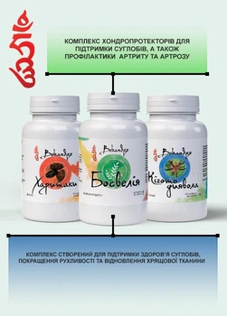 Комплекс Bekandze для підтримки суглобів та хрящової тканини — для комфорту руху, гнучкості та активності при навантаженнях, 3×60 капсул