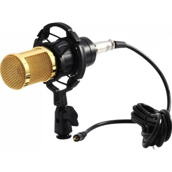 Микрофон студийный конденсаторный ZEEPIN BM 800 [75297]
