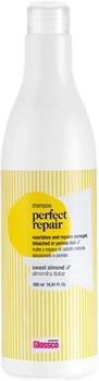 Восстанавливающий шампунь Glossco Professional Perfect Repair Shampoo 500 мл (8436540959973)