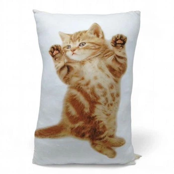 Подушка "Котеня" 35х60 (TS01091996248179)
