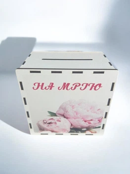 Скарбничка для грошей дитяча 200 днів "На мрію" (№31)