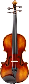Скрипковий комплект Prima 300 4/4 (R125617)