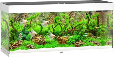 Zestaw akwariowy Juwel Rio 240 LED Biały (4022573034509)