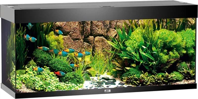 Zestaw akwariowy Juwel Rio 240 LED Czarny (4022573033502)
