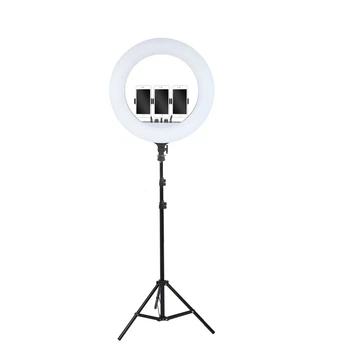 Кольцевая лампа 54см LED RL-21 со штативом 160см AC Prof