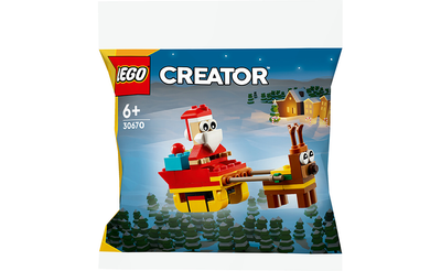 Конструктор LEGO Поїздка на санчатах Санті 73 деталей (30670)