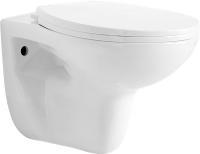 Унитаз подвесной безободковый RJ FLIP RJCEJ0005