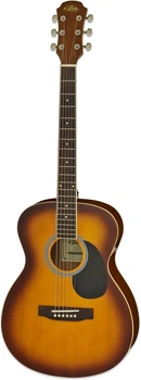 Акустична гітара Aria AFN-15 TS