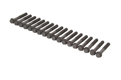 Болты головки блока цилиндров AMC 258519 Mitsubishi Pajero, L200