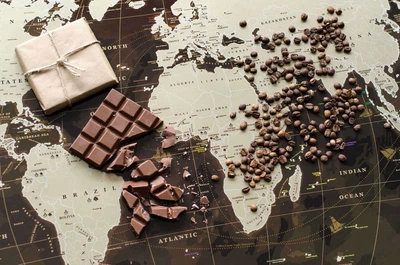 Скретч карта мира My Map Chocolate Edition Разноцветный