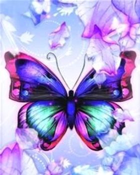 Картина за номерами Dp Craft Butterfly 40 х 50 см (5902444056382)