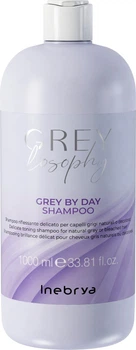 Шампунь для волосся Inebrya Grey By Day тонуючий 1 л (8008277264783)