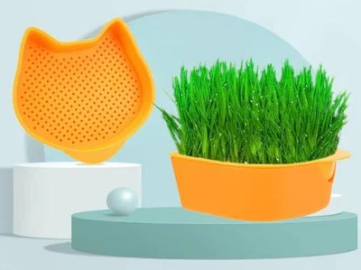 Лоток гидропоника Green Island CAT 12.7*12.7 см оранжевый для проращивания травы домашним животным