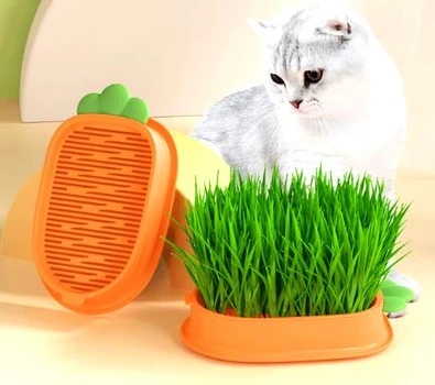 Лоток гідропоніка Green Island CARROT 19*11.8 см помаранчевий для пророщування трави хатнім тваринкам