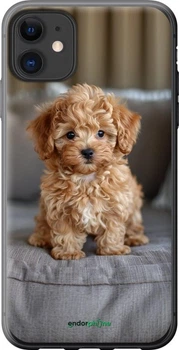 Чехол на iPhone 11 Mini-maltipoo "6158u-1722-70447"