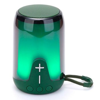 Портативная Bluetooth колонка TG652 с RGB подсветкой и функцией громкой связи, радио, зеленая