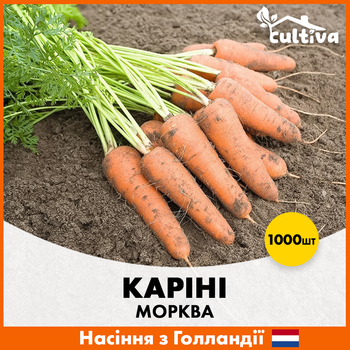 Морква Bejo Каріні, 1000 шт