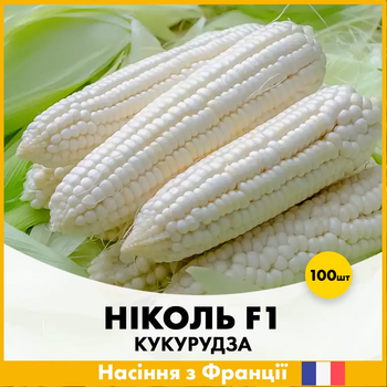 Цукрова кукурудза Ніколь F1, 100 шт
