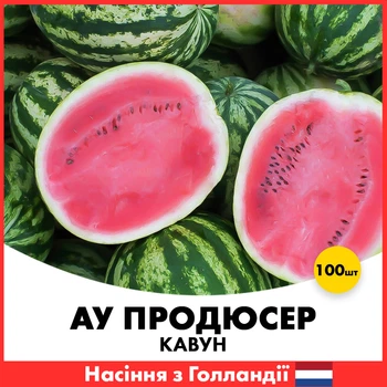 Арбуз АУ Продюсер, 25 г, Голландия