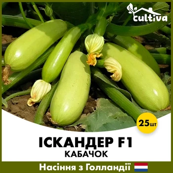 Кабачок Искандер F1, 25 шт,Голландские семена