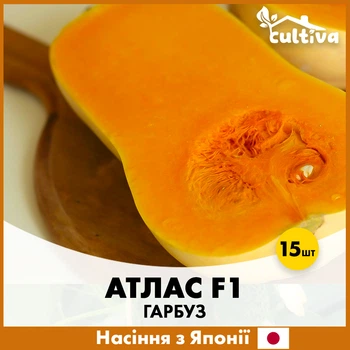 Мускатная Тыква Атлас F1, 15 шт