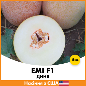 Дыня Innova Seeds Эми F1, 5 шт