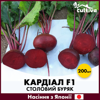 Столовий буряк Кардіал F1, 200 шт