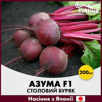 Столовая свекла Азума F1, 200 шт