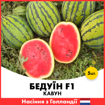 Арбуз Bejo Zaden Бедуин F1, 5 шт