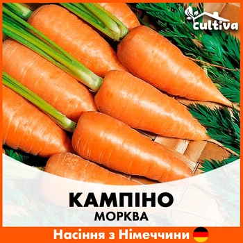 Морква Satimex Кампіно, 10 гр
