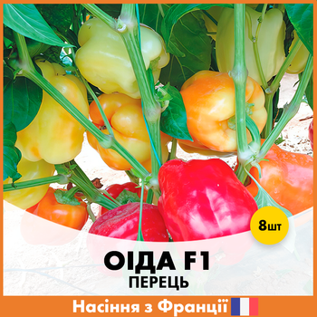 Перец Clause Оида F1, 8 шт