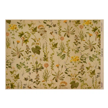 Аркуш крафт паперу з малюнком Фабрика Декору Botanical backgrounds #05, 42x29,7 см, артикул FDKP-001-05
